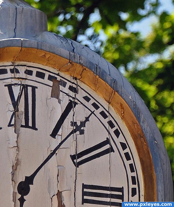 Wooden Watch